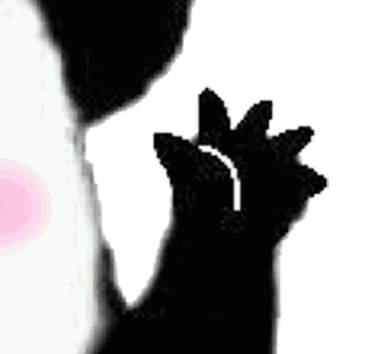 布、剪刀、中指，懂？-