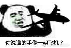 你说谁的手像飞机？-