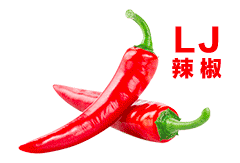 LJ-辣椒-