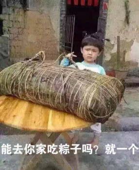能去你家吃粽子吗，就一个-