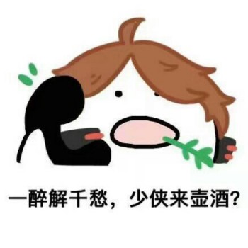 一醉解千愁，少侠来壶酒？-