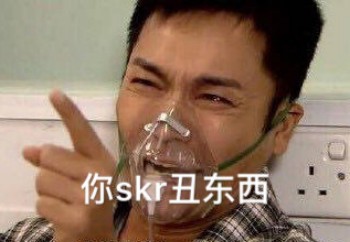 你skr丑东西-