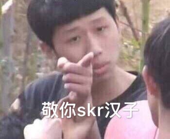 敬你skr汉子-
