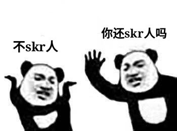你还skr人？-