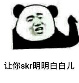 让你skr明明白白儿-