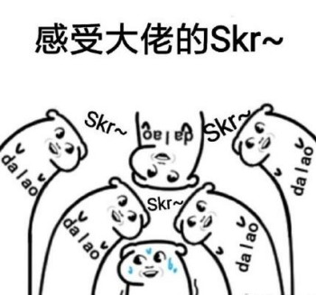 感受大佬的skr