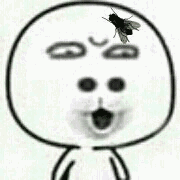 恶搞苍蝇表情3-