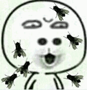 恶搞苍蝇表情2-