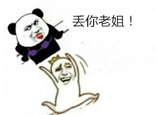 我丢你老姐