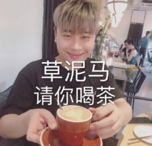 草拟吗 请你喝茶-