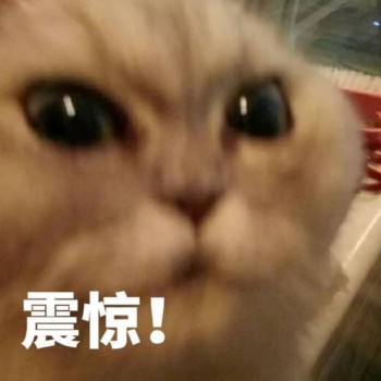 吸猫片1-震惊-