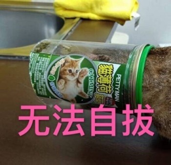 吸猫片1-无法自拔-
