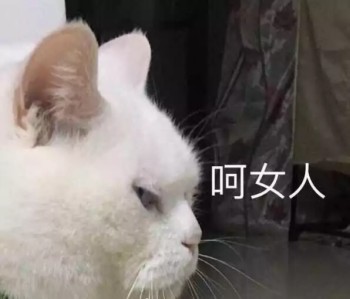 吸猫片1-呵 女人