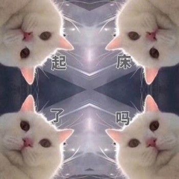吸猫片1-起床了吗-
