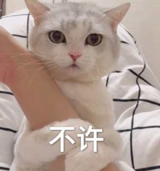 吸猫片1-不许-
