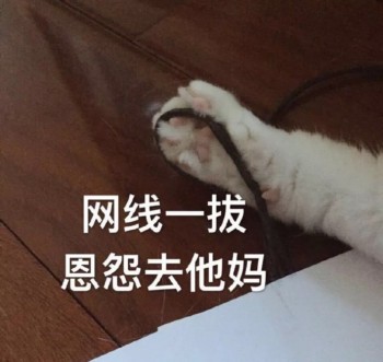 吸猫片1-网线一拔，恩怨去他妈-
