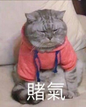 吸猫片1-赌气-