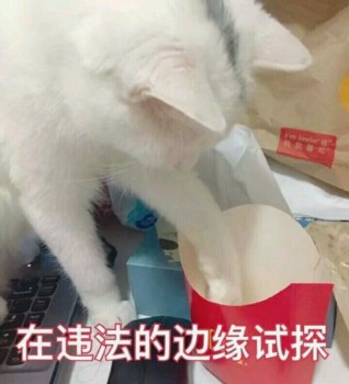 吸猫片1-在违法的边缘试探-