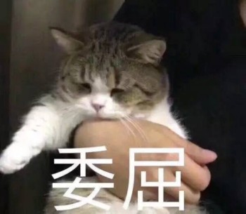 吸猫片1-委屈