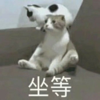 吸猫片1-坐等-