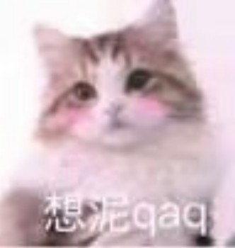 吸猫片1-想你QAQ