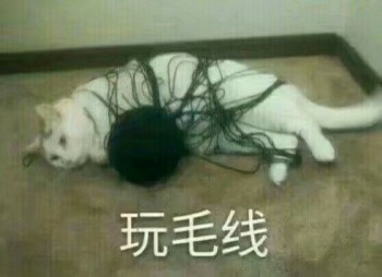 吸猫片1-玩毛线-