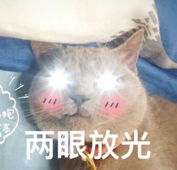吸猫片1-两眼放光-
