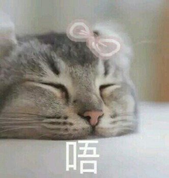 吸猫片1-唔-