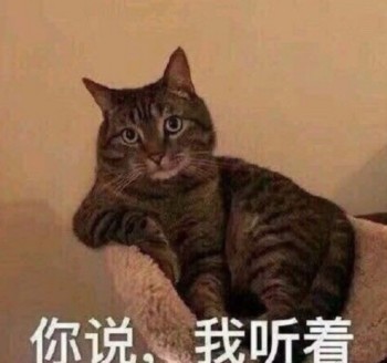 吸猫片1-你说 我听着-