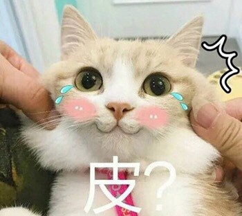 吸猫片1-皮？-