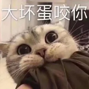 吸猫片1-大坏蛋咬你-