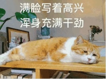 吸猫片1-满脸写着高兴 浑身充满干劲-