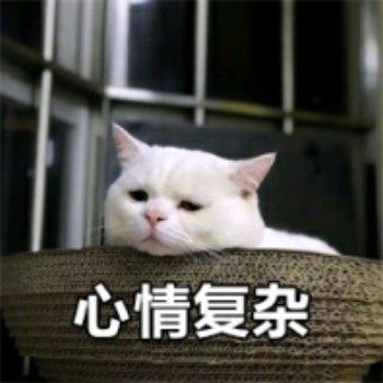 吸猫片1-心情复杂-