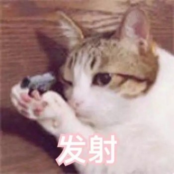 吸猫片1-发射-