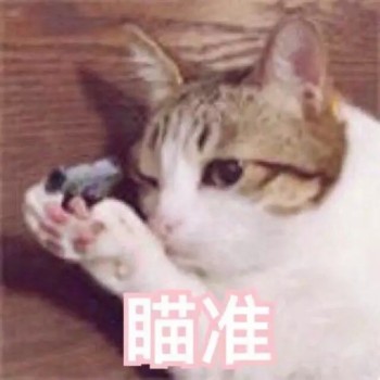 吸猫片1-瞄准-