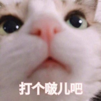 吸猫片1-打个啵儿吧-