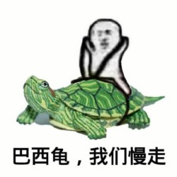 巴西龟 我们慢走-