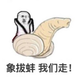 象跋蝰  我们走-