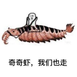 奇奇虾 我们也走