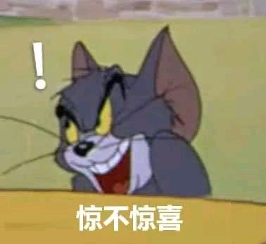 猫和老鼠-惊不惊喜
