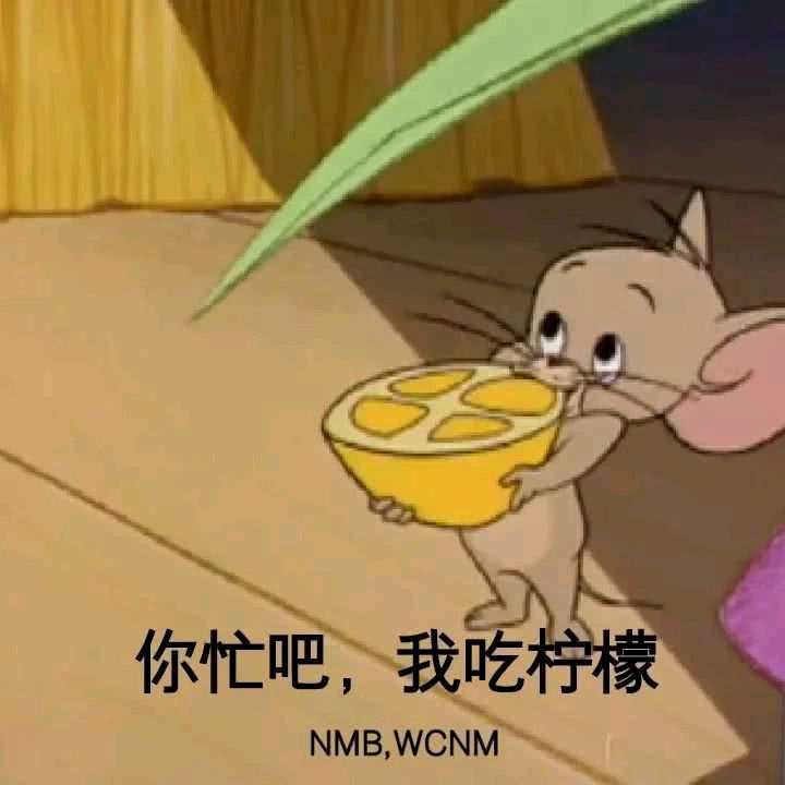 猫和老鼠-你忙吧 我吃柠檬