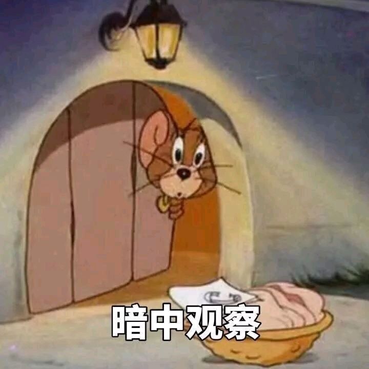 猫和老鼠-暗中观察-
