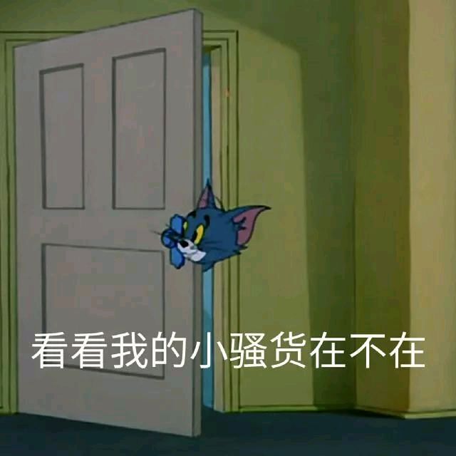 猫和老鼠-看我的小骚货在不在