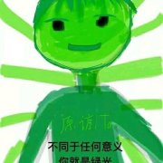 不同意任何意义 你就是绿光-