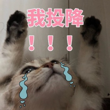吸猫片表情包2-我投降！！！-
