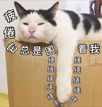 吸猫片表情包2-疲倦它总是围绕着我-