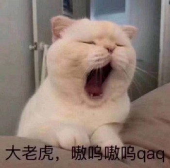 吸猫片表情包2-大老虎 嗷呜嗷呜-
