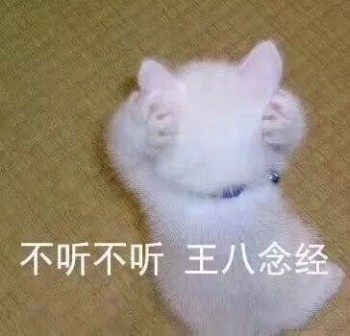 吸猫片表情包2-不听不停 王八念经-