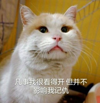吸猫片表情包2-凡是我很看的开 但不妨碍我记仇