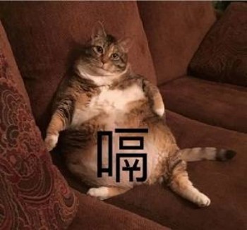 吸猫片表情包2-嗝-